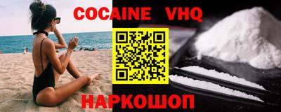 сатива Кингисепп