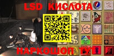 сатива Кингисепп