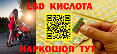 сатива Кингисепп