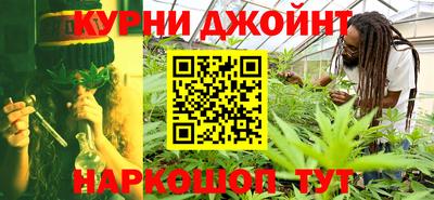 сатива Кингисепп