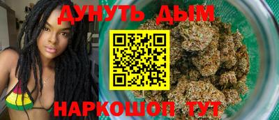 сатива Кингисепп