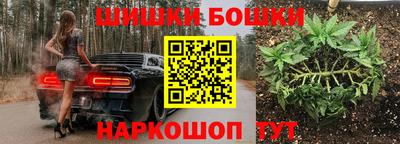 сатива Кингисепп